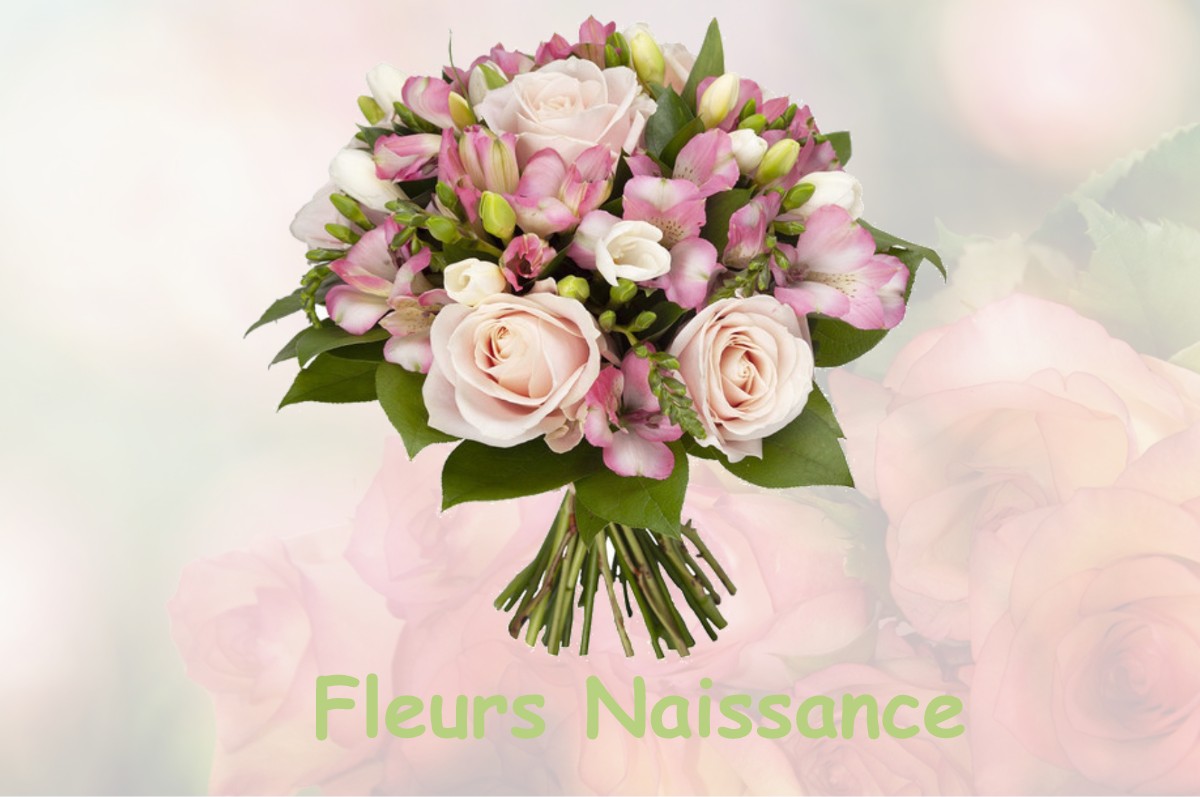 fleurs naissance VAUVERT