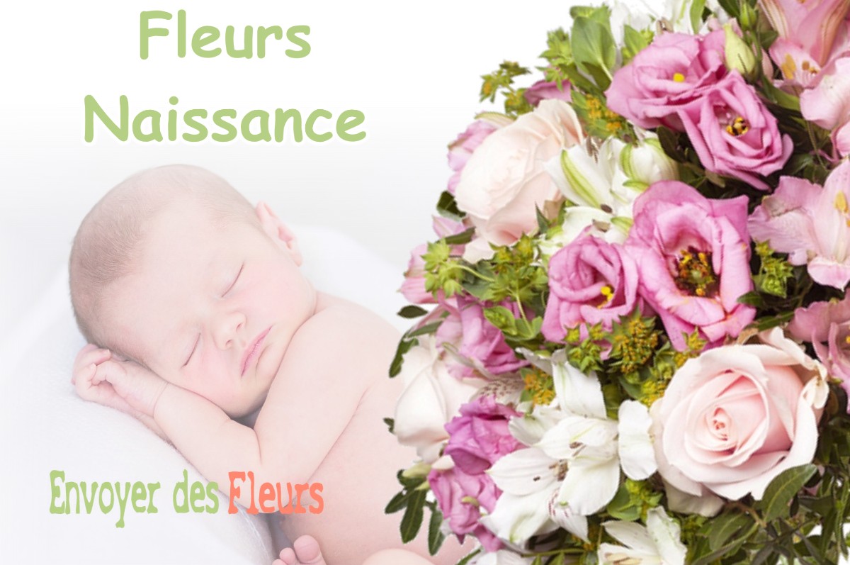 lIVRAISON FLEURS NAISSANCE à VAUVERT